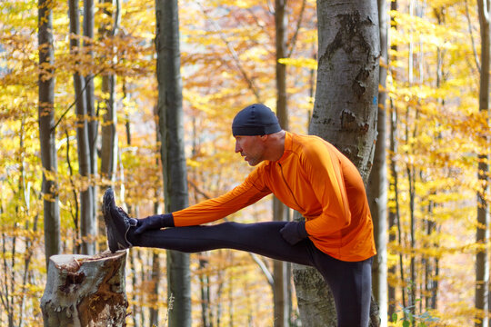 Male runner stretching outdoors in autumn forest in mountains. Standing Hamstring Stretch on stump.