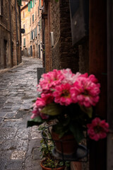 Fototapeta na wymiar A street in the historic center of the city of Perugia.