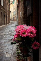 A street in the historic center of the city of Perugia.