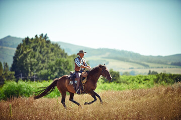 Cowboy, fast and man riding horse with saddle on field in countryside for equestrian or training....