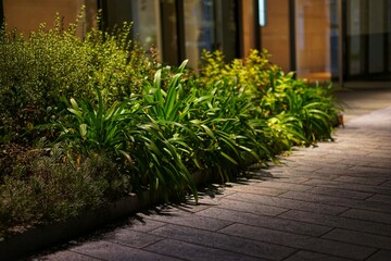 Grass planted in cobblestone alley and flower beds at night in the park