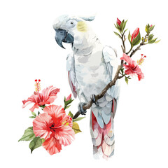 White parrot with hibiscus flowers watercolor