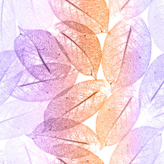Time of year in botanical abstract style. Leaf skeleton in pastel colors, seamless stylish vector background.