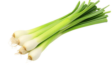 Leek on Clean Isolated on Transparent Background PNG.