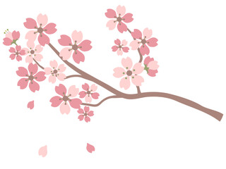 桜の枝木
