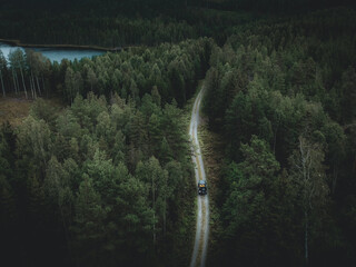 Värmland Voyages: A Journey Through the Wild