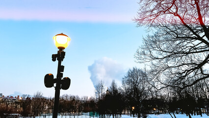 Golden light glowing in winter park. Street lamp post and bare tree. Cold weather. Film grain texture. Soft focus. Blur