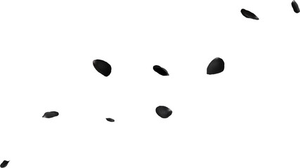 falling black rose petals