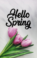 Hello Spring flowers text background banner vertical. Pink tulips on white marble background. Greeting card. Beautiful flowers. Black text