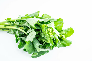 Fresh organic vegetable rapeseed