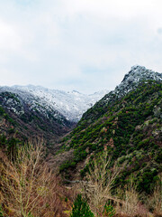 Naklejka premium OLYMPUS DIGITAL CAMERA