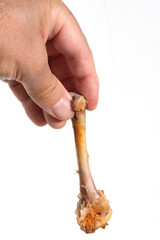  Male hand holding a stripped chicken bone against a white background