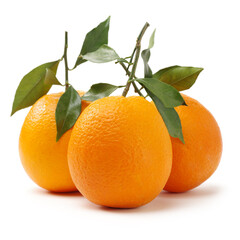Orange fruit on the white background