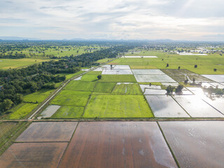 High angle view of agricultural farms, mainly rice and paddy productions, in Asian region.