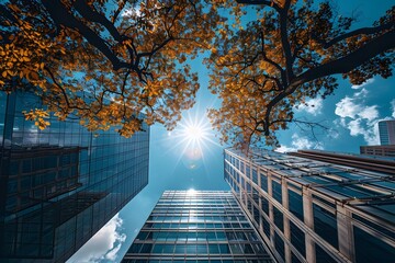 Autumn Trees and Skyscrapers in a Modern City