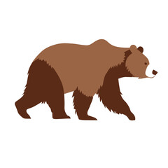 Obraz premium brown bear vector illustration