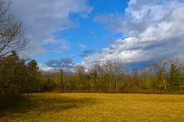 Meadow at the forest edge at Kras, Primorska, Slovenia with beautiful clouds in the sky
