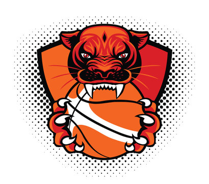Basketball club logo template. Head  of Tiger or panther, jaguar, lion with basketball ball in claws, teeth. Vector on transparent background