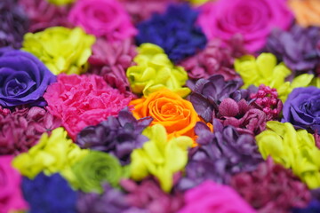 Obraz premium bouquet of colorful flowers