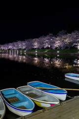 Wooden rowing boats and colorful Cherry Blossom in Hirosaki Park at night