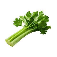 Celery isolated, transparent background white background no background