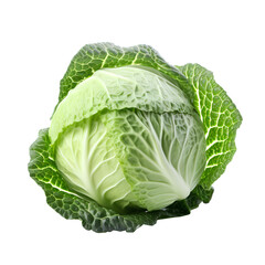 cabbage isolated, transparent background white background no background