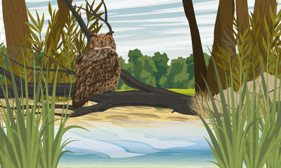 Eagle owl sits on a fallen tree on the river bank. Wild birds of the forest. Realistic vector landscape