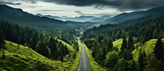Poster Top view of green forest landscape. pine trees and asphalt road Country lane © GoDress