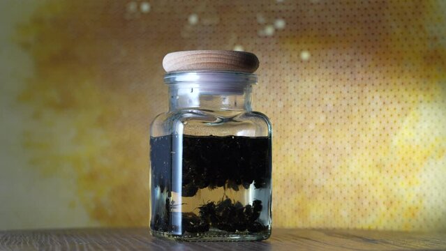 Glass bottle of tincture from dead bees in vodka on a background of honeycombs, close up, rotates. Organic phytoconcentrate tincture of bee podmore, natural beekeeping product, apitherapy