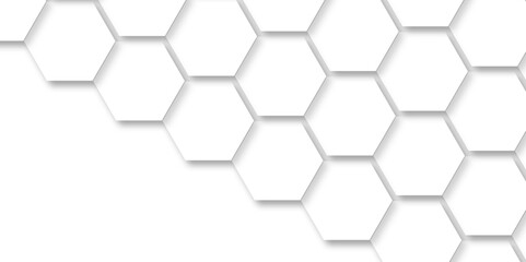 Abstract background with seamless geometric pattern . Geometry pattern hexagon. Hexagonal netting. seamless background with 3d illustration. structure futuristic white background and Embossed Hexagon.
