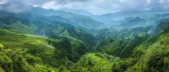 Fotobehang The emerald-green rice terraces of Banaue, Philippines, carved into the mountainsides by generations of Ifugao farmers © Artem