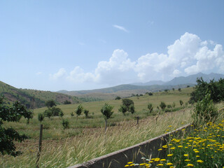 spring breeze in a field near the mountains