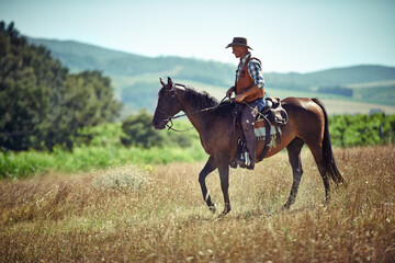 Meadow, western and cowboy riding horse with hat on field in countryside for equestrian or training. Nature, summer and rodeo with mature man on horseback saddle at ranch outdoor in rural Texas