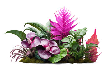 Green leaves of tropical plants bush (Monstera, palm, grass, rubber plant, anthurium, pink flower ,Philodendron) floral arrangement isolated on transparent background . PNG, cutout, clipping path.	
 - Powered by Adobe