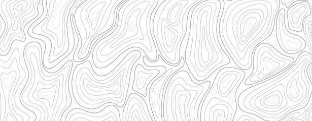 Fototapeta premium Abstract tree rings. Vector topographic map concept.