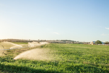 Sunlight shining through spray of water irrigating crops in farm paddock