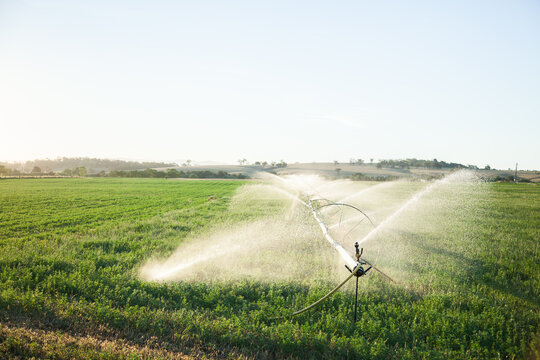 Sunlight shining through spray of water irrigating crops in farm paddock