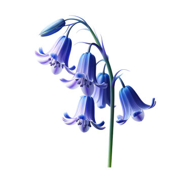 A single Bluebell, capturing the essence of Mother's Day, rendered in a realistic and minimalist 3D style