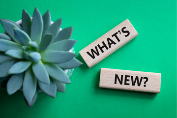 What is new symbol. Concept word What is new on wooden blocks. Beautiful green background with...