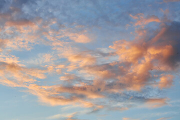 Naklejka na ściany i meble Cloudscape of cumulus sunset clouds