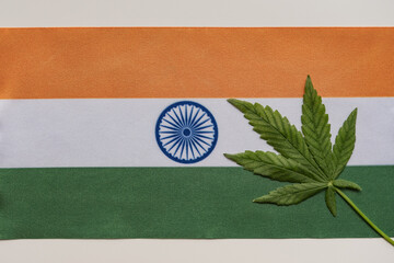 Fresh cannabis leaf and flag of India close up. Illegal cultivation and distribution. Medical use