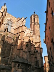 Cathedral of Barcelona seen from behind