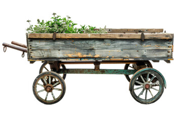 Fototapeta na wymiar Old Wooden Wagon Filled With Green Plants. An aged wooden wagon brimming with lush green plants stands in a rustic setting. The wagons weathered surface contrasts with the vibrant foliage it carries.