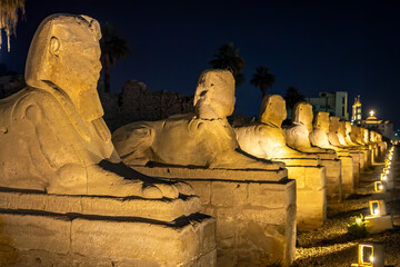 Sphinxes avenue illuminated at night in Luxor, Egypt