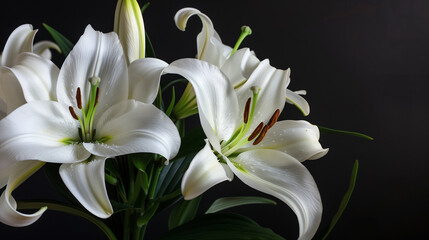 Elegant white lilies with prominent stamens against a dark background, ideal for sympathy cards or tranquil floral backgrounds with space for text on the right