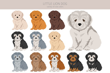 Little Lion dog puppy clipart. Different poses, coat colors set.