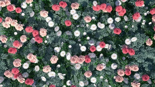 3D animation - Looped animated background of pink and white flowers moved by the wind 
