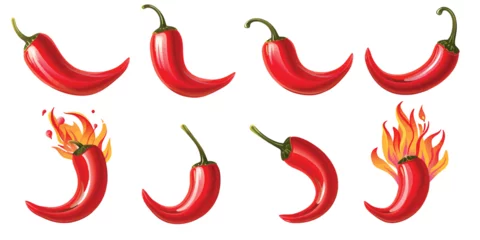 Fotobehang Vector illustration set of various chili peppers on white background. © AI for You