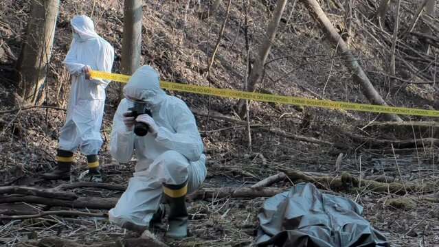 Forensic specialist working in the forest. Police criminalists collecting evidence and making criminal investigation. Crime scene concept.