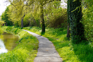Fototapeta premium a scenic landscape with lush green trees and a little stream on a sunny spring day with the blue sky (Donauwoerth, Bavaria, Germany) 